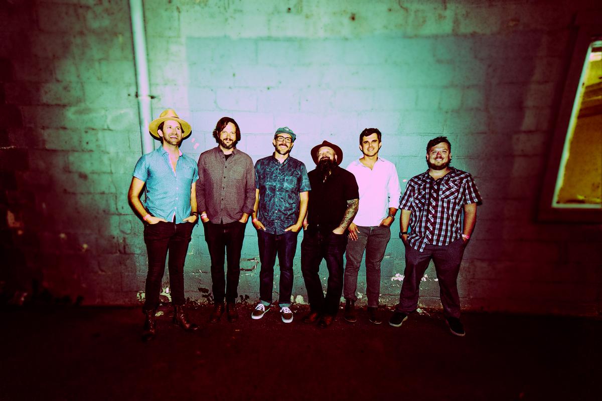 Fed on Peaches hanging out in the alley.